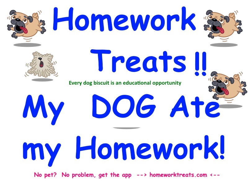 Homework Treats!